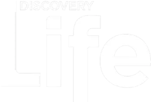 Discovery Life
