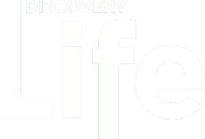 Discovery Life