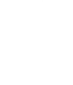 The HISTORY Channel