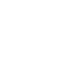 The HISTORY Channel