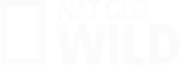 Nat Geo WILD