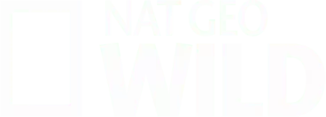 Nat Geo WILD